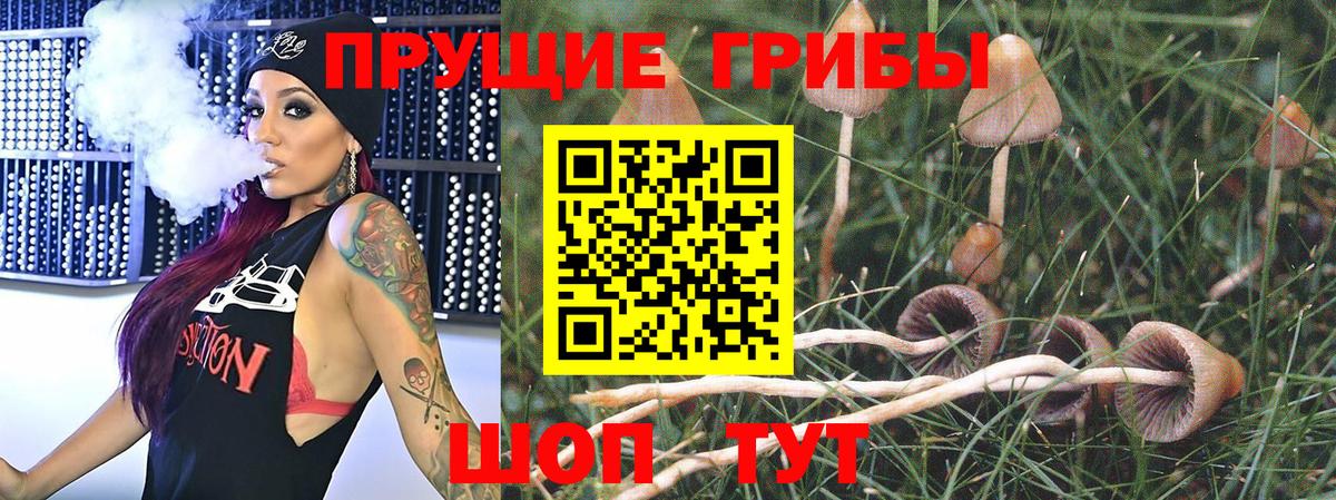 где можно купить   Псилоцибиновые грибы ЛСД  Вход с VPN  Щёлково 